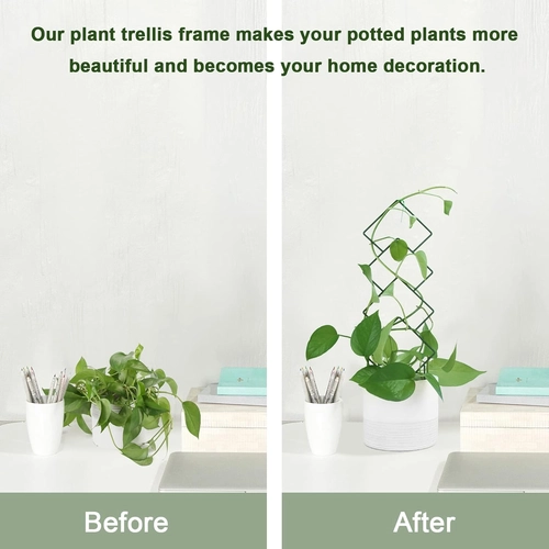 Foto de Plant Trellis for Climbing Plants Indoor, 15.94Inch Small Garden Metal Houseplant Trellis for Potted Plants Outdoor with 4 Patterns for Vine Ivy Flower Plant Support Lover GIF Lattice