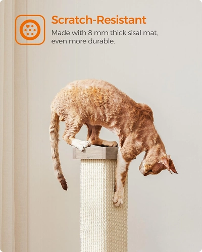Foto de Feandrea Cat Scratching Post, Cat Scratcher for Indoor Cats, 28.7 Inches Tall, Furniture Scratching Deterrent Sisal Scratch Pole with Toy, Greige UPCA021G01
