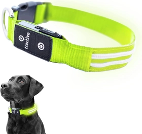 Image of Tractive GPS Pet Tracker with LED Light Up Dog Collar - Waterproof, GPS Location & Smart Activity Tracker, Unlimited Range (Green, Large)