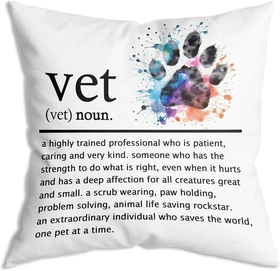 Image of Thank You Vet Throw Pillow Cover 18x18 Inch Motivational Vet Definition Pillowcase Positive Home Office Decor Vet Gift