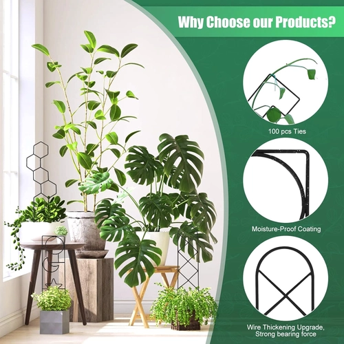 Foto de Plant Trellis for Climbing Plants Indoor, 15.94Inch Small Garden Metal Houseplant Trellis for Potted Plants Outdoor with 4 Patterns for Vine Ivy Flower Plant Support Lover GIF Lattice